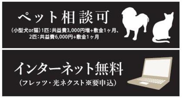 その他写真4
