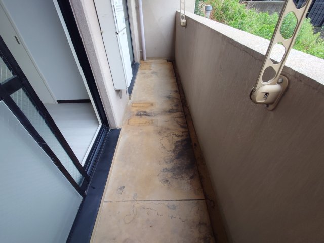 その他写真9