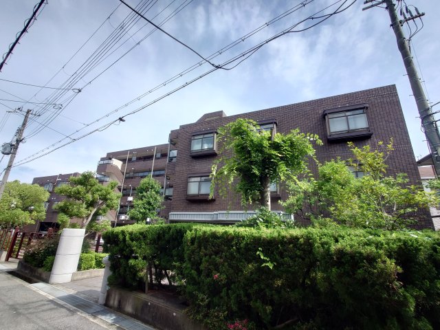芦屋市松ノ内町の賃貸