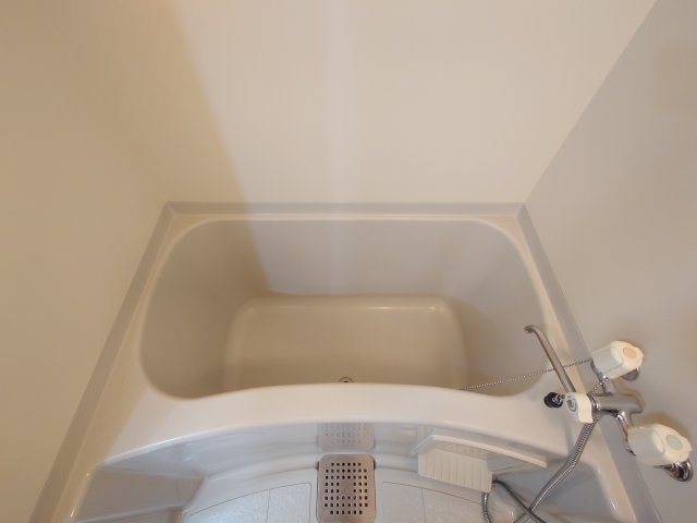 その他写真8