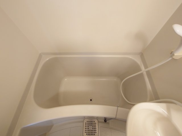 その他写真9